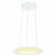 LED Modern Design Plafondlamp / Plafondverlichting Elegant 35W Natuurlijk Wit 4000K Aluminium Witte Armatuur