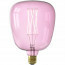 CALEX - LED Lamp 6 Pack - Kiruna Quartz - E27 Fitting - Dimbaar - 4W - Warm Wit 2000K - Roze 2