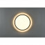 LED Plafondlamp - Plafondverlichting - Trion Atras - 21W - Aanpasbare Kleur - Afstandsbediening - Dimbaar - Sterlicht - Rond - Mat Zwart - Kunststof 8