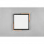 LED Plafondlamp - Plafondverlichting - Trion Mirza - 20W - Warm Wit 3000K - Dimbaar - Vierkant - Mat Zwart - Kunststof 7