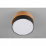 LED Plafondlamp - Plafondverlichting - Trion Sella - E14 Fitting - 2-lichts - Rond - Mat Nikkel/Zwart - Aluminium 7