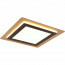 LED Plafondlamp - Trion Groan - 46W - Aanpasbaar kleur - Dimbaar - Vierkant - Zwart Goud - Metaal 3
