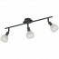 LED Plafondspot - Trion Brista - E14 Fitting - 3-lichts - Rond - Mat Zwart - Aluminium