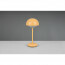 LED Tafellamp met Opbaadbare Batterijen - Trion Berna - 2W - Warm Wit 3000K - Spatwaterdicht IP44 - Rond - Mat Oranje - Kunststof 7