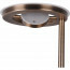 LED Vloerlamp - Trion Barry - 38W - Aanpasbare Kleur - Rond - Oud Brons - Aluminium 6