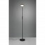 LED Vloerlamp - Trion Monzino - 12W - Aanpasbare Kleur - Dimbaar - Rond - Mat Zwart - Aluminium 13