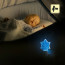 Stekkerlamp Lamp - Stekkerspot met Dag en Nacht Sensor - Aigi Essi - 0.5W - RGB - Rond - Mat Wit - Kunststof - Sneeuwvlok 5
